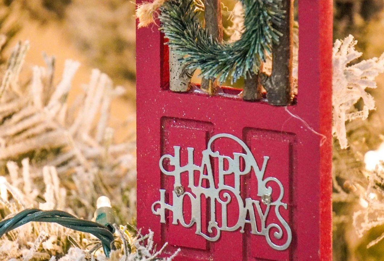 Find the Perfect King Christmas Tree for Sale